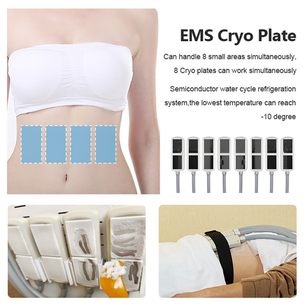 Professional Fat Freezing Cryolipolysis Machine for Abdomen & Thigh Body Contouring