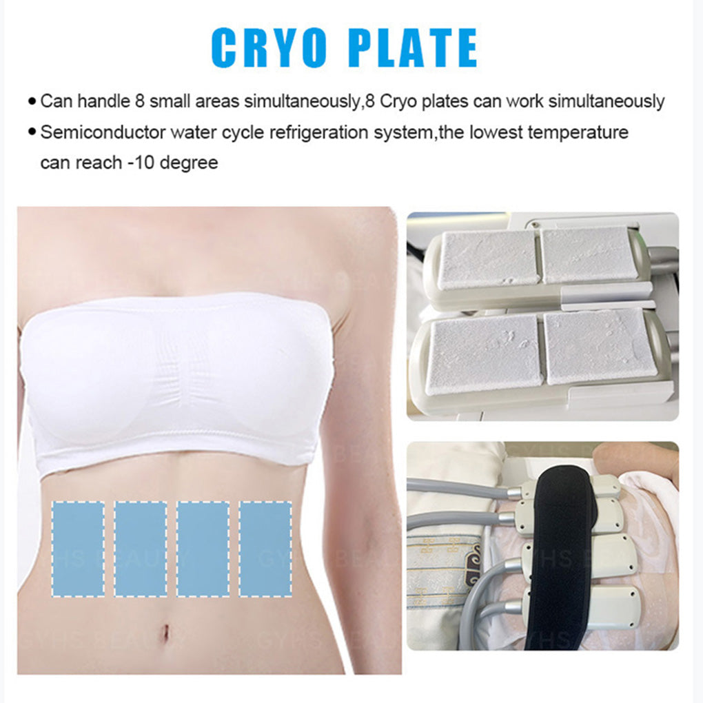 Cryolipolysis Fat Freezing Machine with EMS Body Sculpting for Slimming & Body Contouring