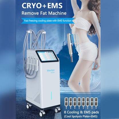 Professional Fat Freezing Cryolipolysis Machine for Abdomen & Thigh Body Contouring