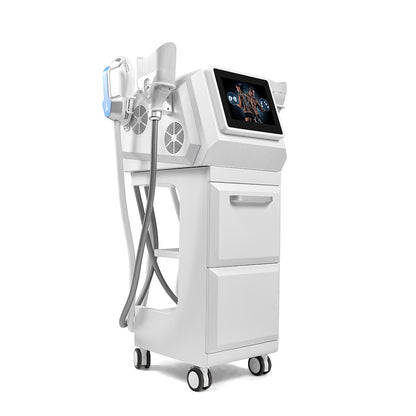 360 Cryolipolysis Fat Freezing Device for Love Handles Belly Fat Removal + EMS Body Sculpting Machine