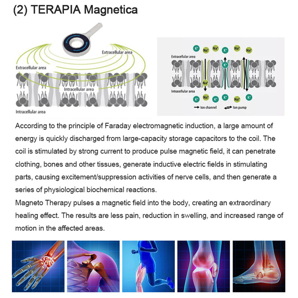 Magneto Therapy Ring PEMF Pain Relief Deep Tissue Healing for Muscles & Tendons