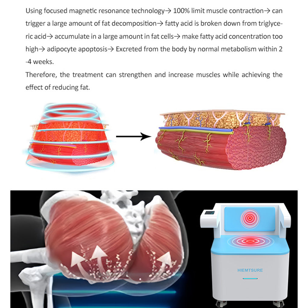 Pelvic Floor Strengthening Chair with HIEMT Technology for Women's Health Clinics