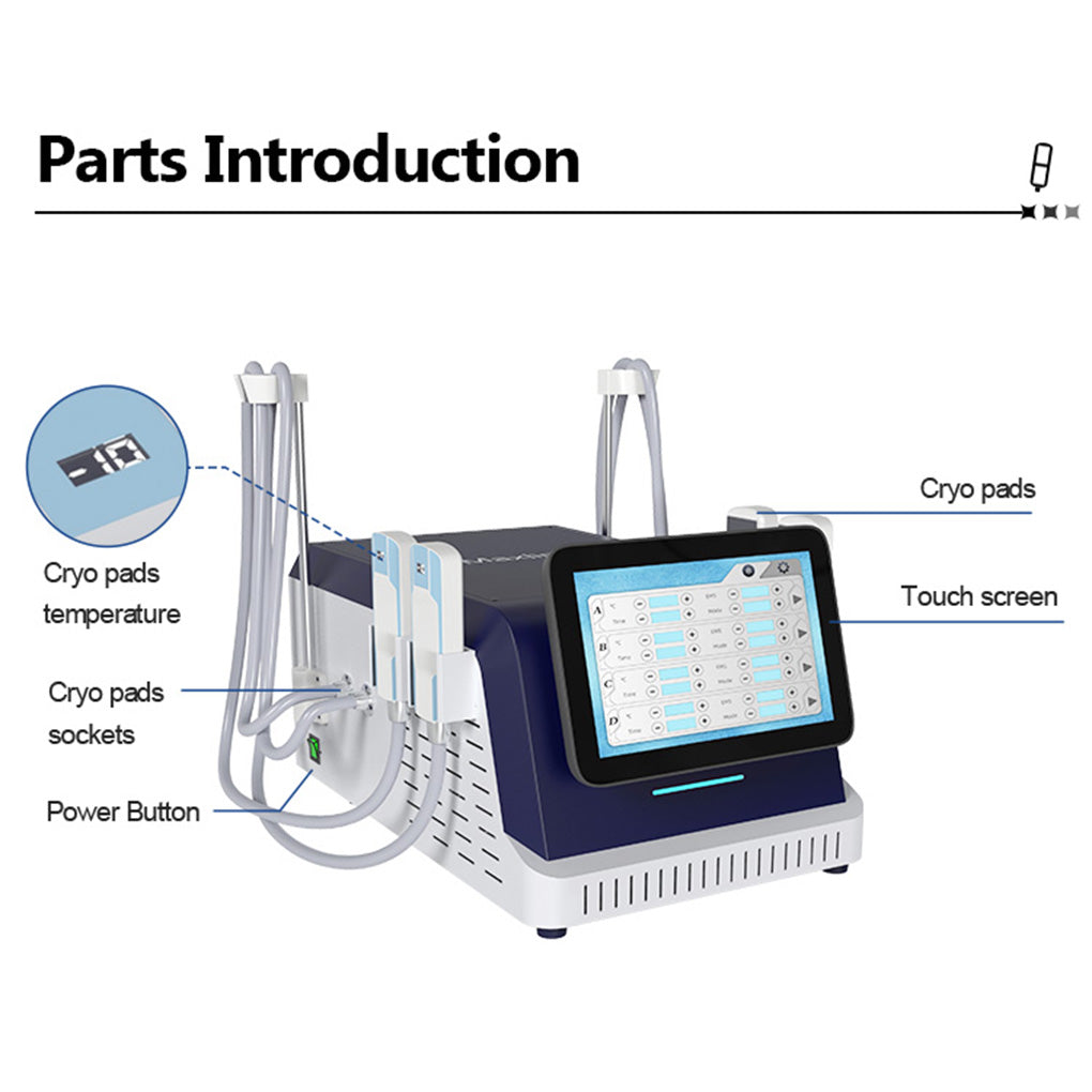 Cryolipolysis Body Sculpting Machine with EMS Technology for Slimming Clinics