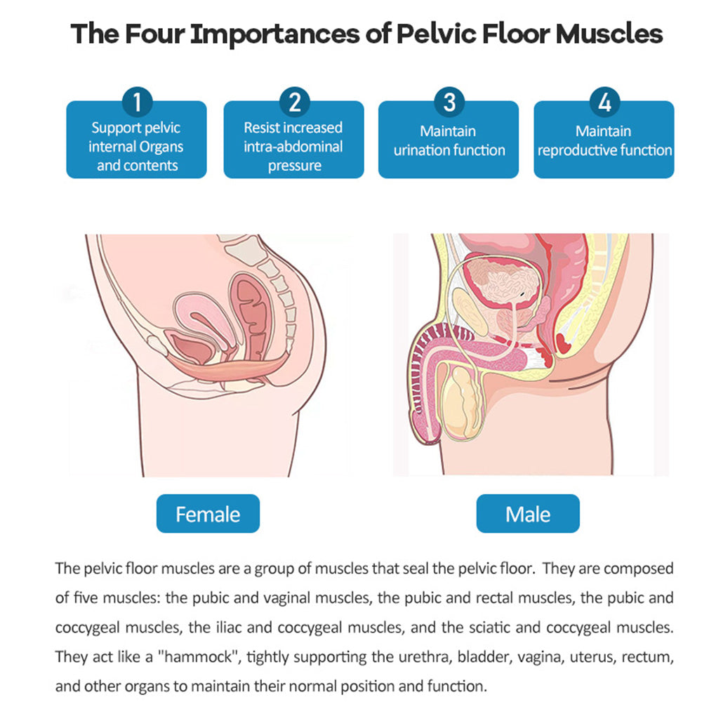 HIEMT Pelvic Floor Chair for Urinary Incontinence Treatment & Pelvic Muscle Strengthening