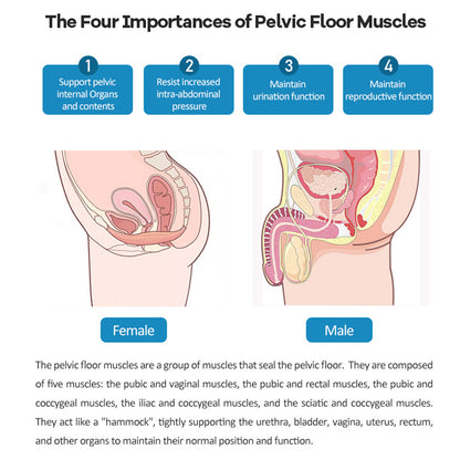 HIEMT Pelvic Floor Chair for Urinary Incontinence Treatment & Pelvic Muscle Strengthening