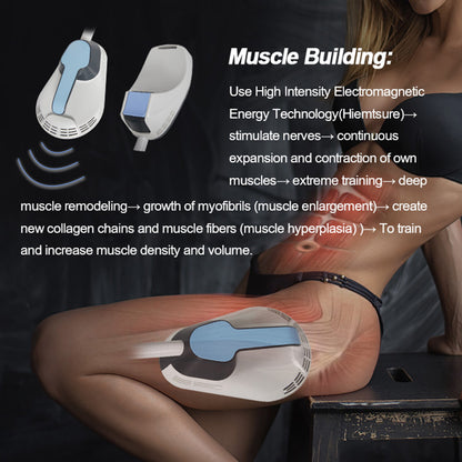 4 Handle EMS Shaping Body Contouring Machine for Muscle Sculpting and Fat Burning
