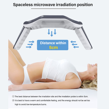 Professional Microwave RF Slimming Machine for Non-Surgical Fat Removal