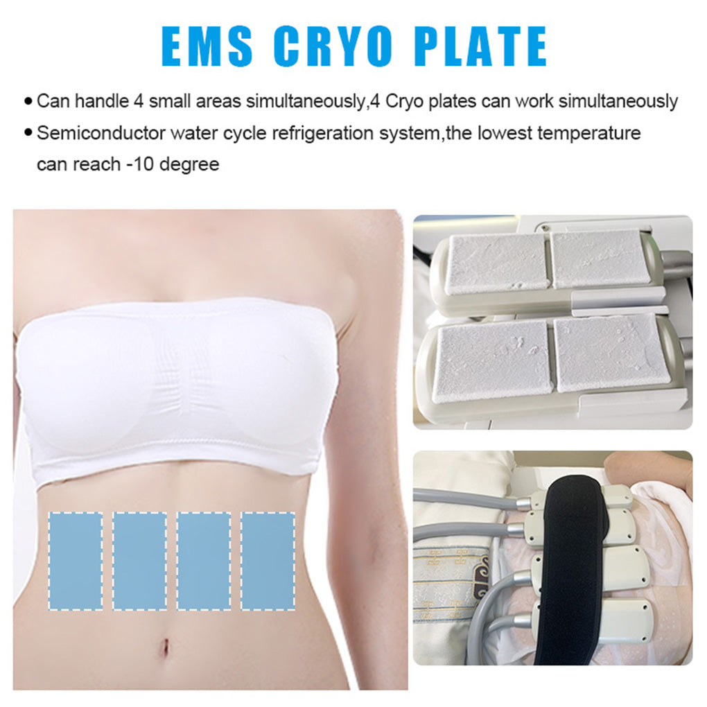 Cryo Fat Freezing Plate Machine with EMS + Laser Lipolysis for Distributor Supply