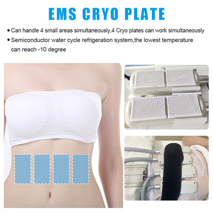 Cryo Fat Freezing Plate Machine with EMS + Laser Lipolysis for Distributor Supply